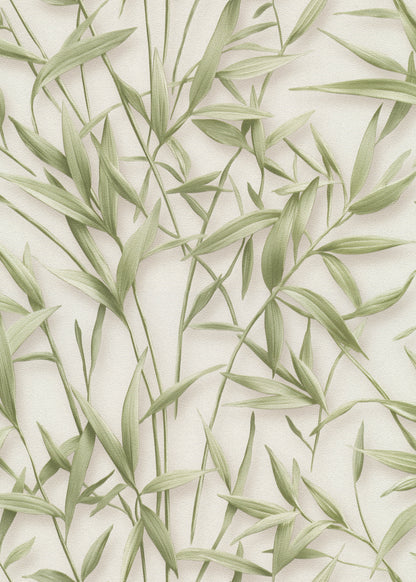 NATURE 10587-07