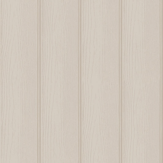 ADVENTURE AWAITS 13991