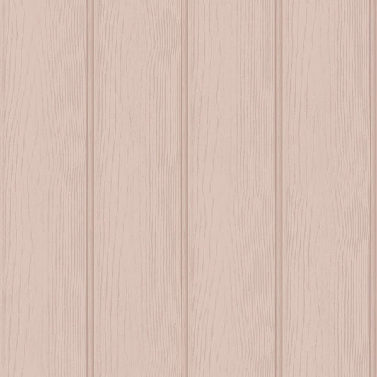 ADVENTURE AWAITS 13994