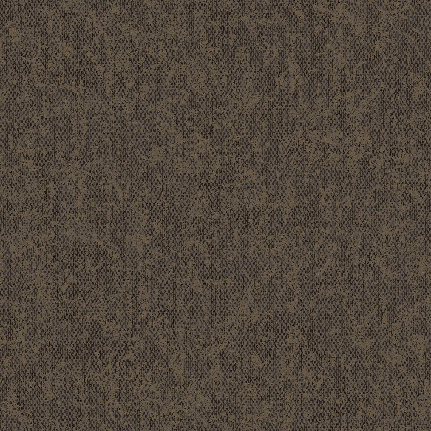 SAHARA 66083