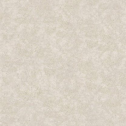 TEXTURA 66122