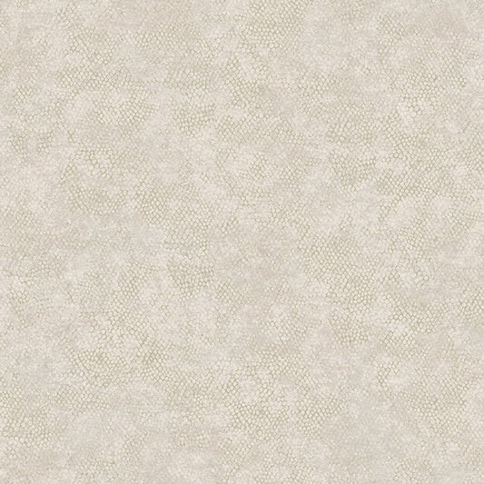 TEXTURA 66122