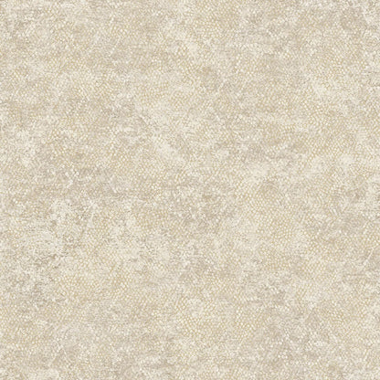TEXTURA 66123