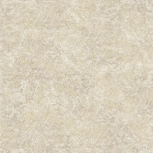 TEXTURA 66123