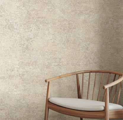 TEXTURA 66123
