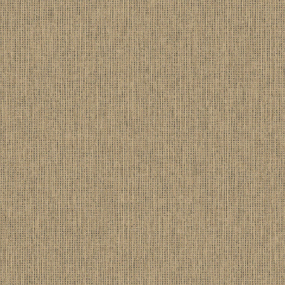 TEXTURA 66131