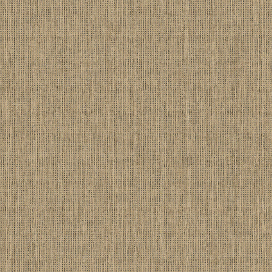 TEXTURA 66131