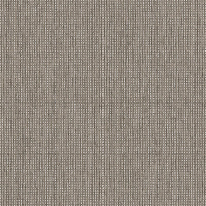 TEXTURA 66133