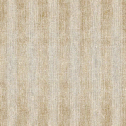 TEXTURA 66134