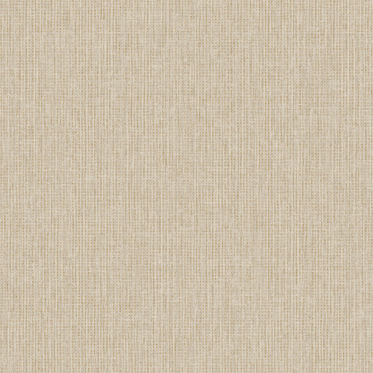 TEXTURA 66134
