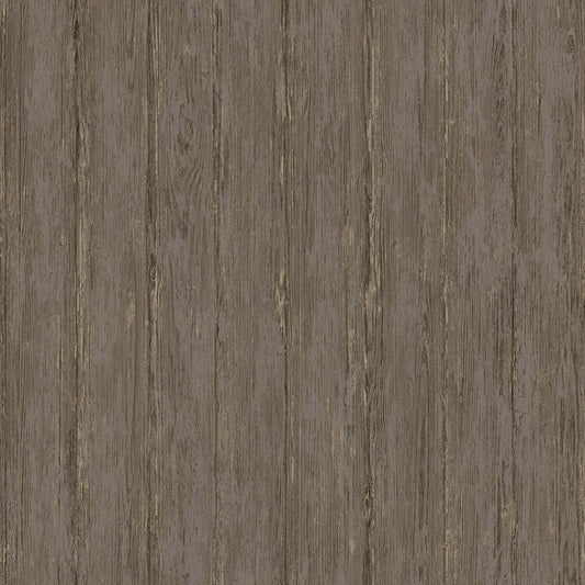 TEXTURA 66150
