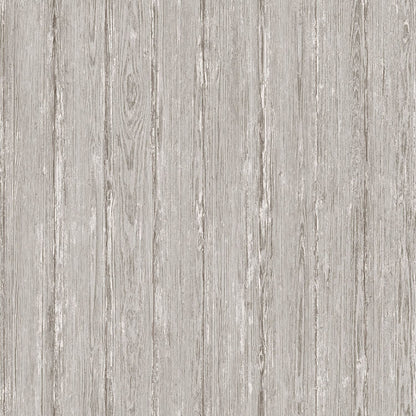 TEXTURA 66151