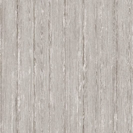 TEXTURA 66151