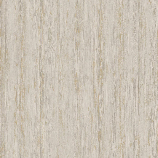 TEXTURA 66152