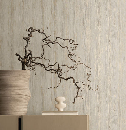 TEXTURA 66152