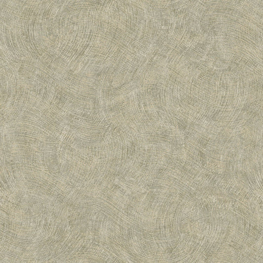 TEXTURA 66172