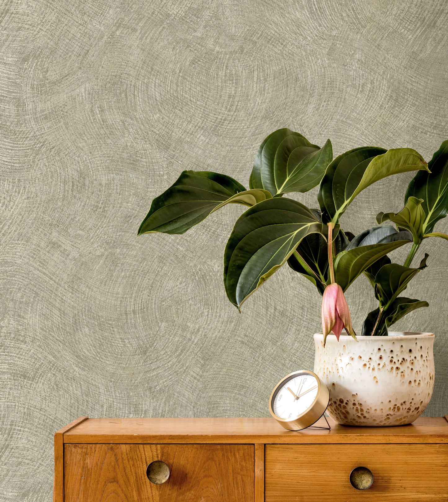 TEXTURA 66172