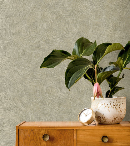 TEXTURA 66172