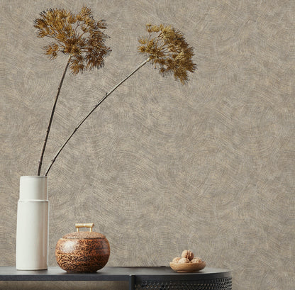 TEXTURA 66173