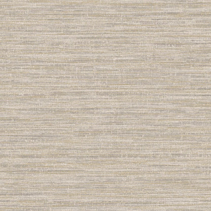 TEXTURA 66200