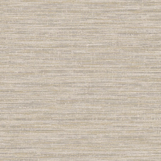 TEXTURA 66200