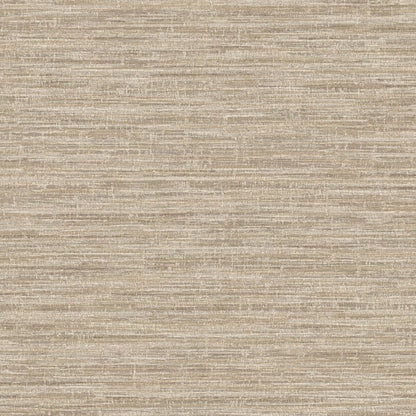 TEXTURA 66201