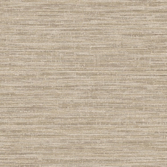TEXTURA 66201
