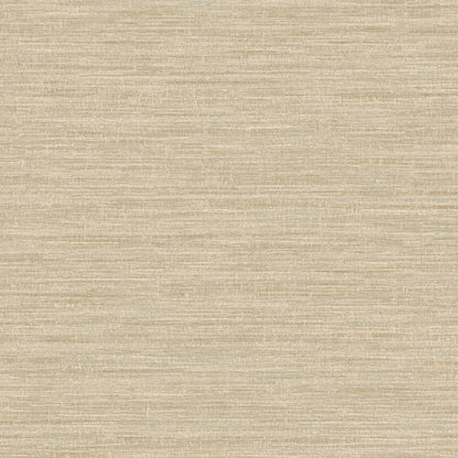 TEXTURA 66203