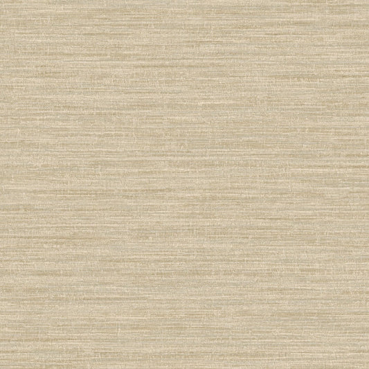 TEXTURA 66203