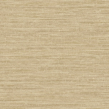 TEXTURA 66204