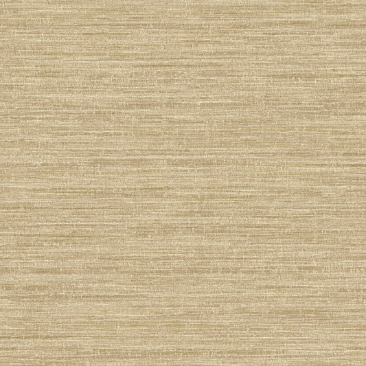TEXTURA 66204