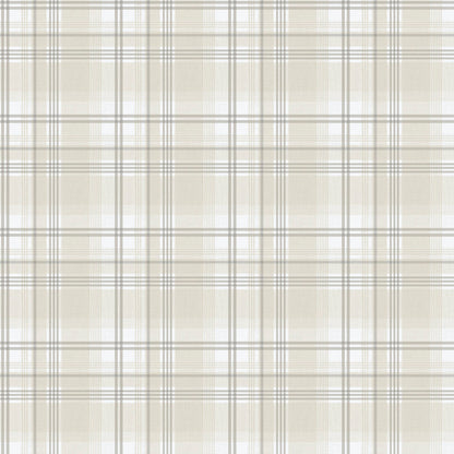 ESSENTIAL STRIPES 9819-2