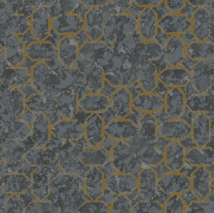 SHINY DA65216