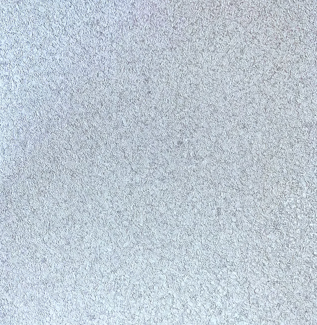 CALIPSO MS170103