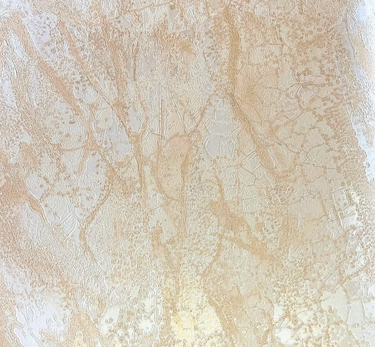 CALIPSO MS170502