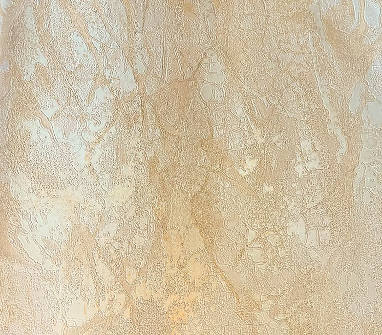 CALIPSO MS170505