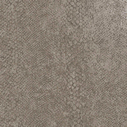 ESSENCE 66281