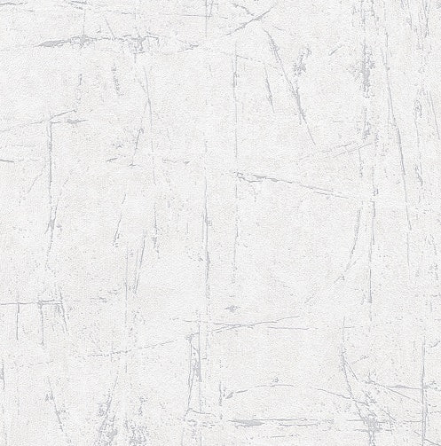 EVOLUTION 10320-31
