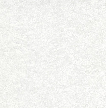 EVOLUTION 10330-01