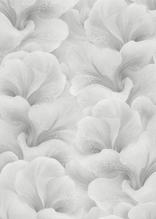 WHISPER 10527-31