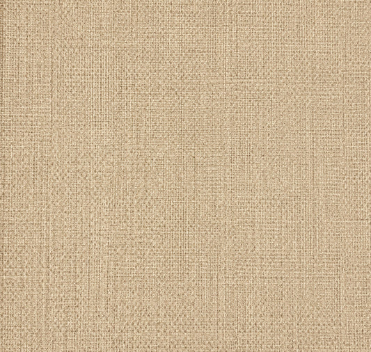 CALIPSO ROY2511