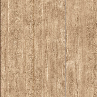 ORNAMENTS 3731